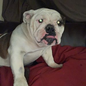 Meet your Posher, Christopher